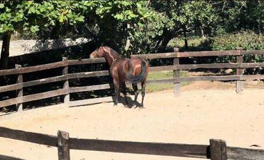 RANCHO EN VENTA EN EL MUNICIPIO DE MOCOCHÁ.