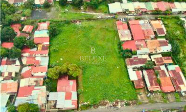 VENTA O ALQUILER DE TERRENO EN JUAN DIAZ (9)