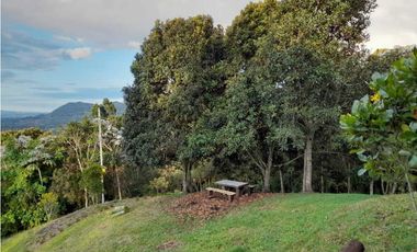 Alquiler Casa Finca vía La Ceja  La union 8824950 DL