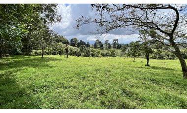 VENTA DE FINCA EN CIRCASIA, QUINDO, COLOMBIA