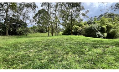 VENTA DE FINCA EN CIRCASIA, QUINDO, COLOMBIA