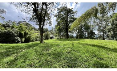 VENTA DE FINCA EN CIRCASIA, QUINDO, COLOMBIA