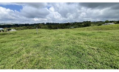VENTA DE FINCA EN CIRCASIA, QUINDO, COLOMBIA