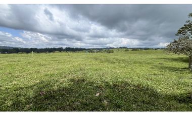 VENTA DE FINCA EN CIRCASIA, QUINDO, COLOMBIA