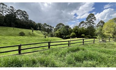VENTA DE FINCA EN CIRCASIA, QUINDO, COLOMBIA