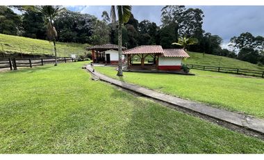 VENTA DE FINCA EN CIRCASIA, QUINDO, COLOMBIA