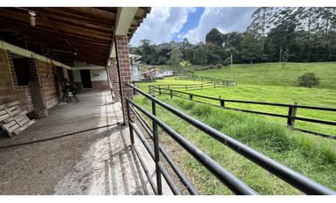 VENTA DE FINCA EN CIRCASIA, QUINDO, COLOMBIA