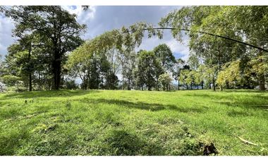 VENTA DE FINCA EN CIRCASIA, QUINDO, COLOMBIA