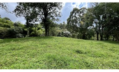 VENTA DE FINCA EN CIRCASIA, QUINDO, COLOMBIA
