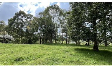 VENTA DE FINCA EN CIRCASIA, QUINDO, COLOMBIA