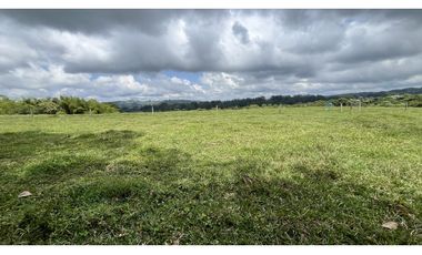 VENTA DE FINCA EN CIRCASIA, QUINDO, COLOMBIA