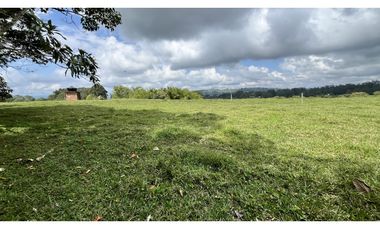 VENTA DE FINCA EN CIRCASIA, QUINDO, COLOMBIA