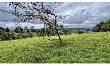 VENTA DE FINCA EN CIRCASIA, QUINDO, COLOMBIA
