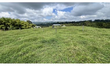 VENTA DE FINCA EN CIRCASIA, QUINDO, COLOMBIA
