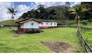VENTA DE FINCA EN CIRCASIA, QUINDO, COLOMBIA