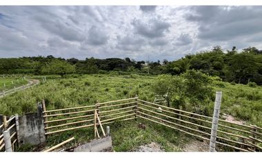 VENTA DE LOTES INDUSTRIALES EN TEBAIDA, QUINDO, COLOMBIA