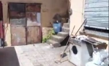 Casa en venta en Sarandi Este