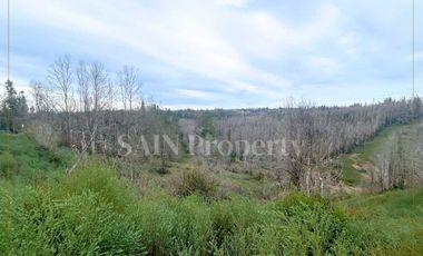 Parcela en venta en TOMÉ