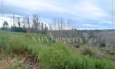 Parcela en venta en TOMÉ