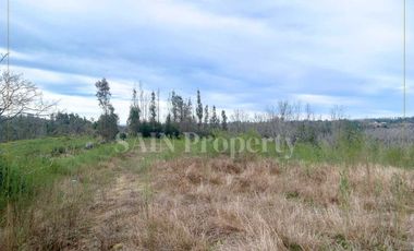 Parcela en venta en TOMÉ