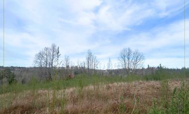 Parcela en venta en TOMÉ