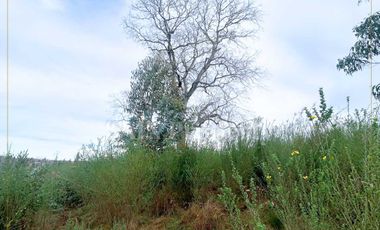 Parcela en venta en TOMÉ