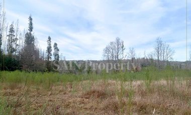 Parcela en venta en TOMÉ