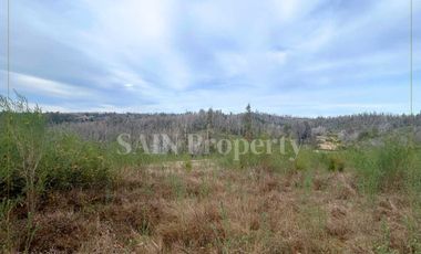 Parcela en venta en TOMÉ