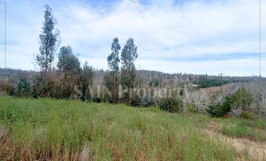 Parcela en venta en TOMÉ