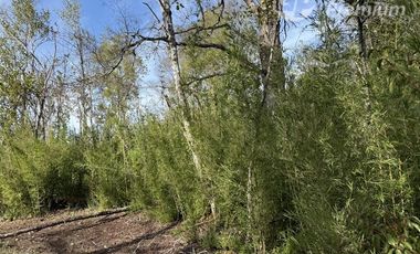 Parcela en Venta en A 8kM. de Centro de Villarrica