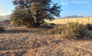 Parcela en Venta en Valle Fértil