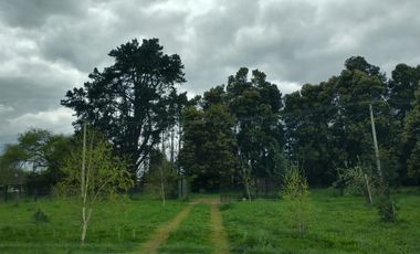 PARCELA A MINUTOS DE LA CIUDAD LOS ÁNGELES