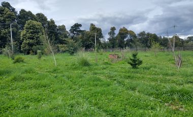 PARCELA A MINUTOS DE LA CIUDAD LOS ÁNGELES