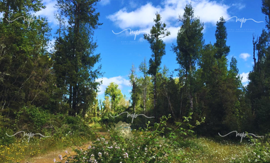 CAMINO A ESTAQUILLA PARCELA 5000 M2