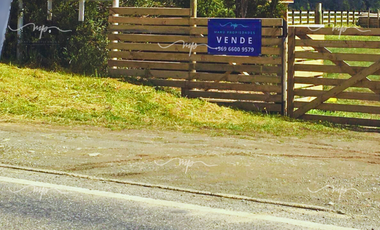 CAMINO A ESTAQUILLA PARCELA 5000 M2