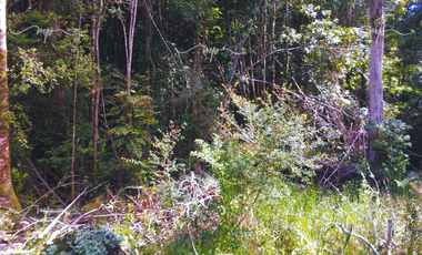 CAMINO A ESTAQUILLA PARCELA 5000 M2