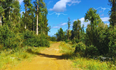 CAMINO A ESTAQUILLA PARCELA 5000 M2