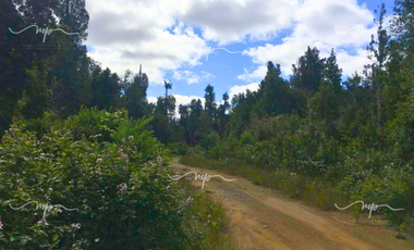 CAMINO A ESTAQUILLA PARCELA 5000 M2