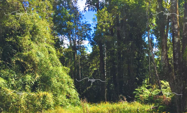 CAMINO A ESTAQUILLA PARCELA 5000 M2
