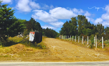 CAMINO A ESTAQUILLA PARCELA 5000 M2