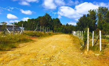 CAMINO A ESTAQUILLA PARCELA 5000 M2