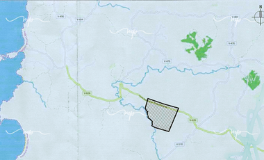 CAMINO A ESTAQUILLA PARCELA 5000 M2