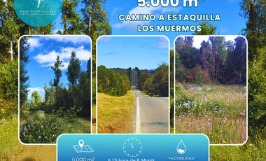 CAMINO A ESTAQUILLA PARCELA 5000 M2