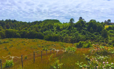 PARCELA DE 20500 M2 CEBADAL MAULLIN