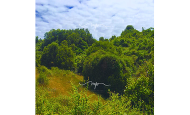 PARCELA DE 20500 M2 CEBADAL MAULLIN