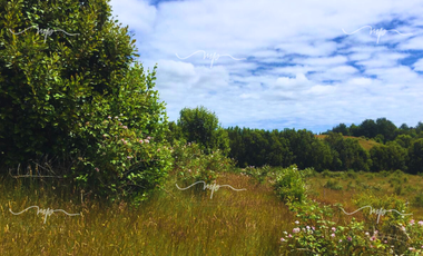 PARCELA DE 20500 M2 CEBADAL MAULLIN