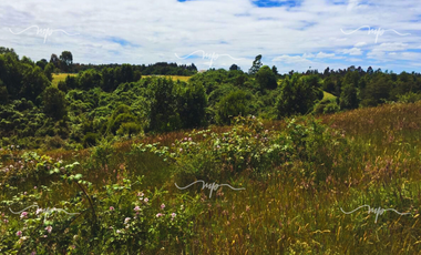 PARCELA DE 20500 M2 CEBADAL MAULLIN