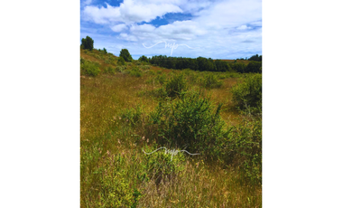 PARCELA DE 20500 M2 CEBADAL MAULLIN