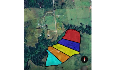 PARCELA DE 20500 M2 CEBADAL MAULLIN