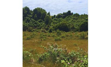 PARCELA DE 20500 M2 CEBADAL MAULLIN